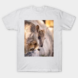 Rock Wallaby T-Shirt